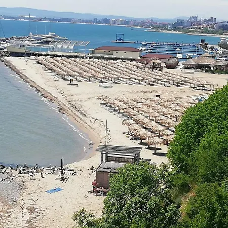 Vista